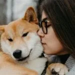 pets