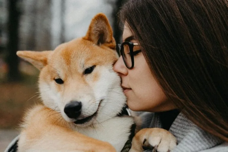 pets